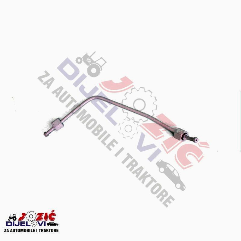 Daisy on the Ohoopee